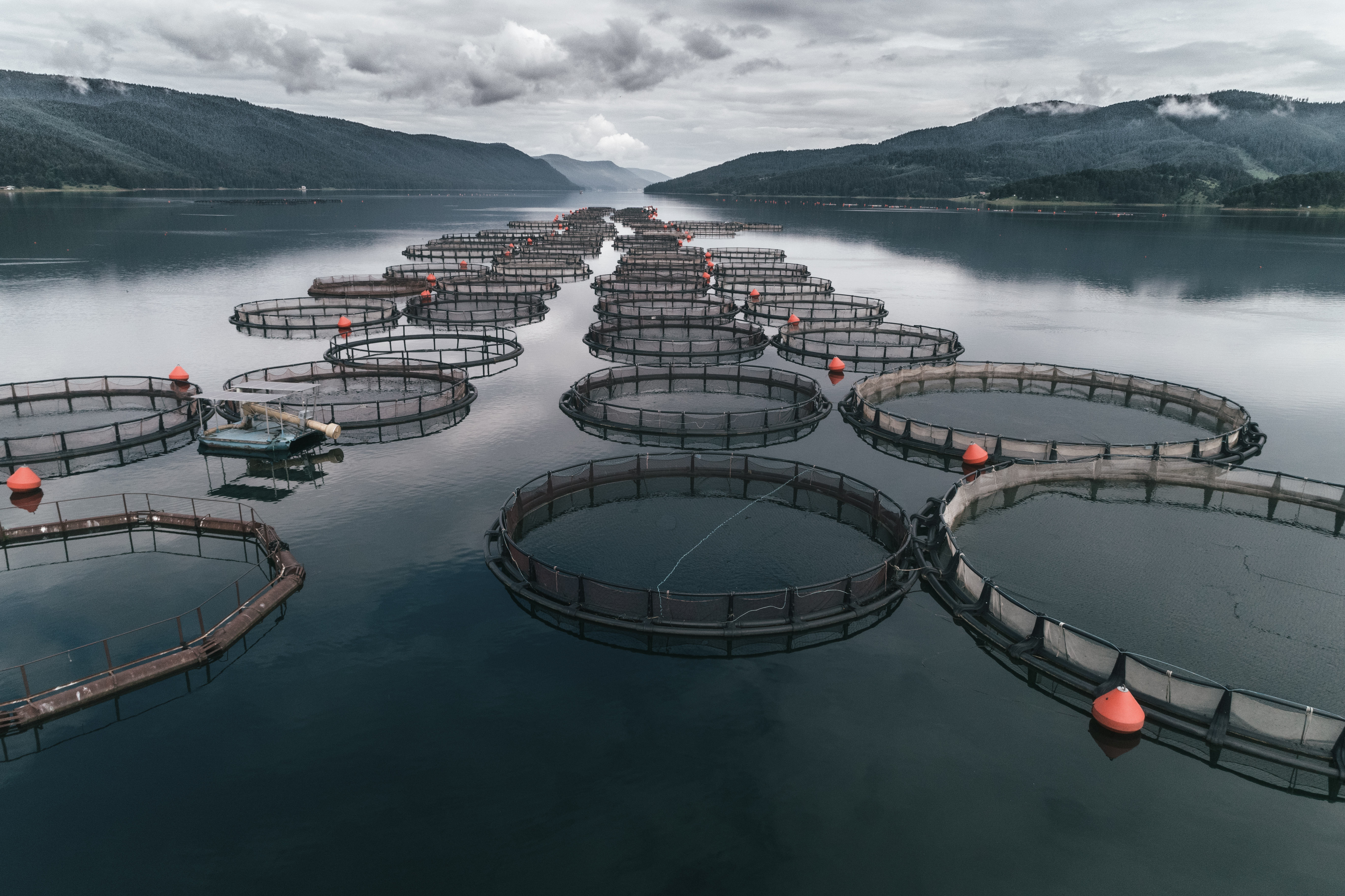 Aquaculture net pens on a coastal fish farm